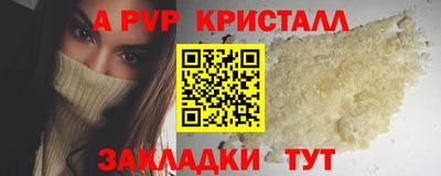 прущие грибы Кингисепп