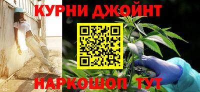 PSILOCYBIN Камышлов