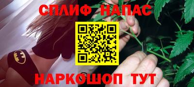 прущие грибы Кингисепп