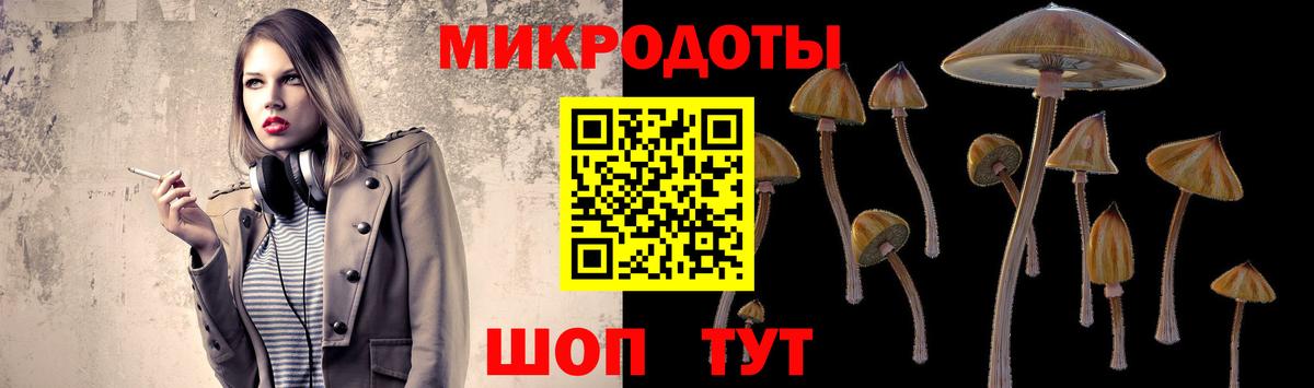 Псилоцибиновые грибы GOLDEN TEACHER Коркино